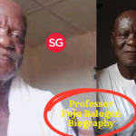 Professor Poju Balogun Biography