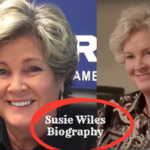 Susie Wiles Biography