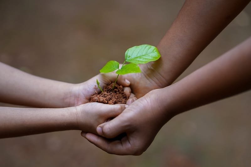 12 Powerful Bible Verses on Thanksgiving and Sharing